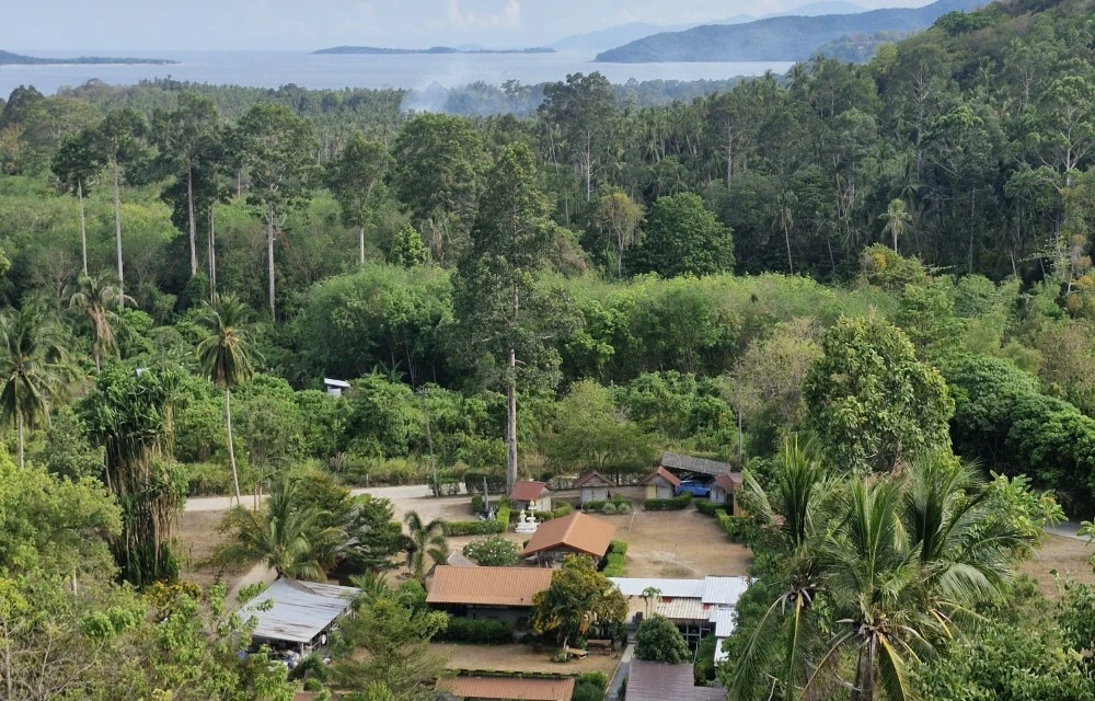 Samui Camping Farm