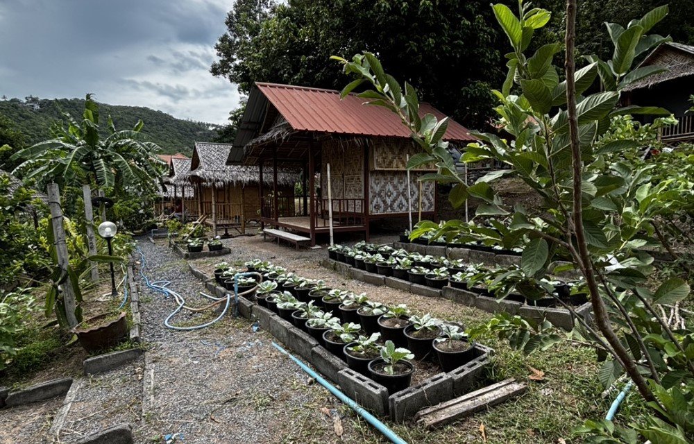Farm View Bungalow in Ko Samui