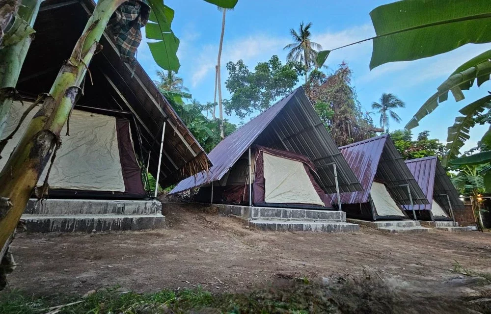 Samui Camping Farm
