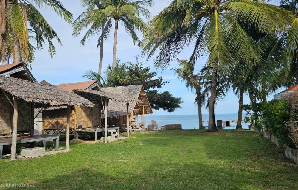 Samui Camping Farm