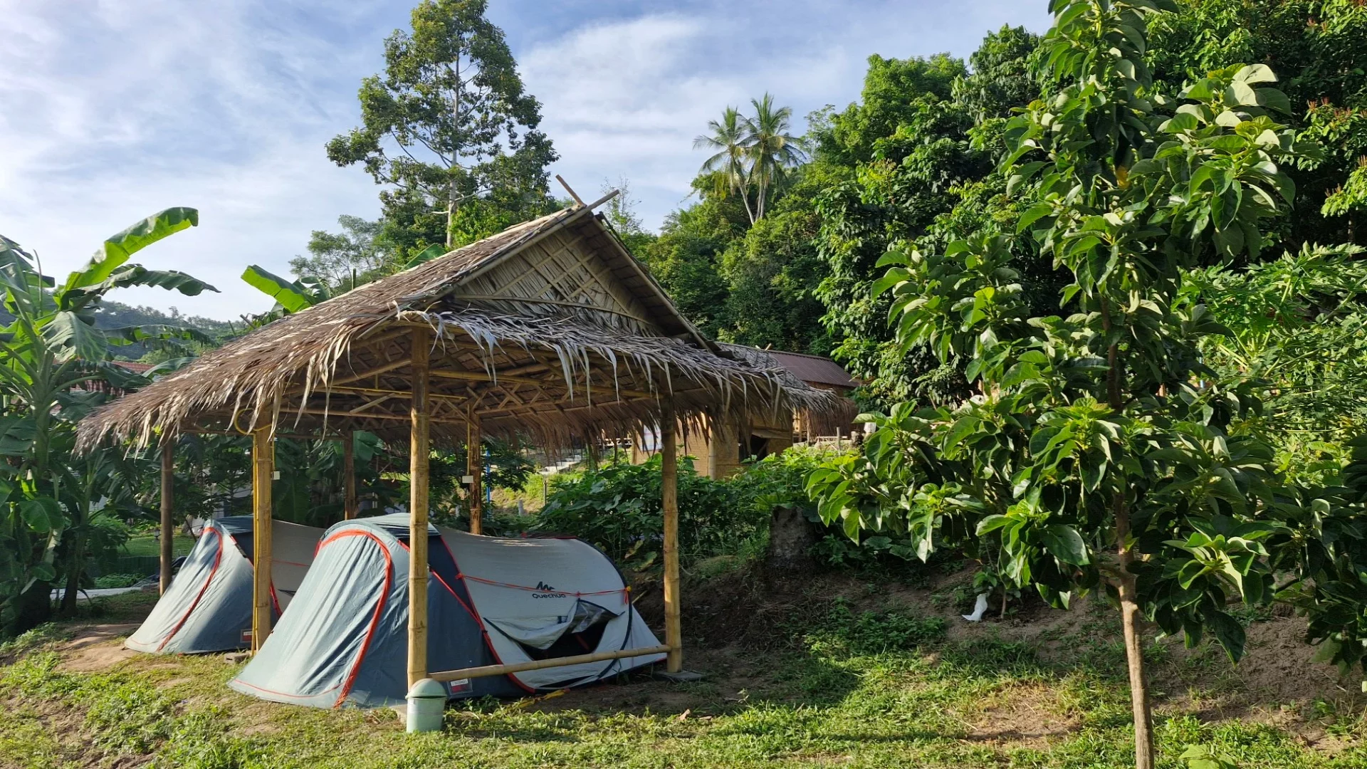 Samui Camping Farm