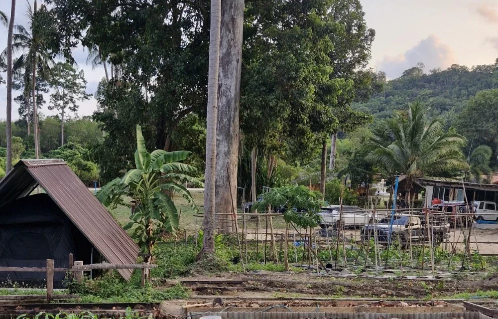 Samui Camping Farm